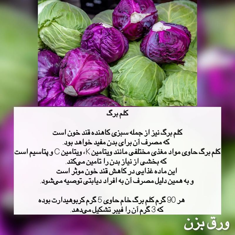 کلم برگ