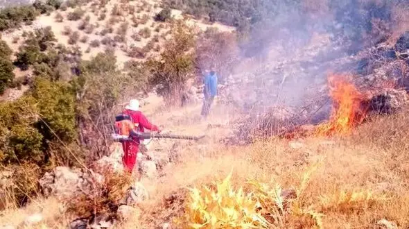 آتش سوزی جنگل‌ها و مراتع «پریکدان» بویراحمد مهار شد