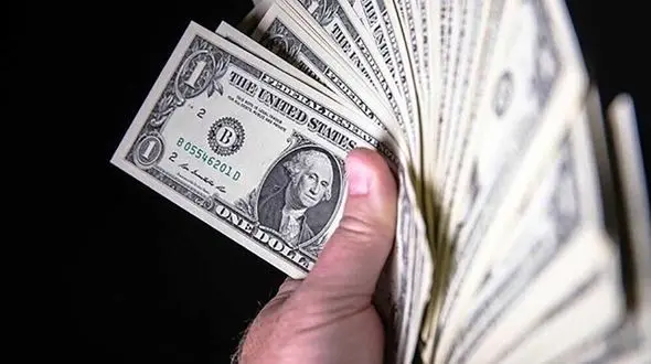 قیمت دلار در سامانه نیما اعلام شد 