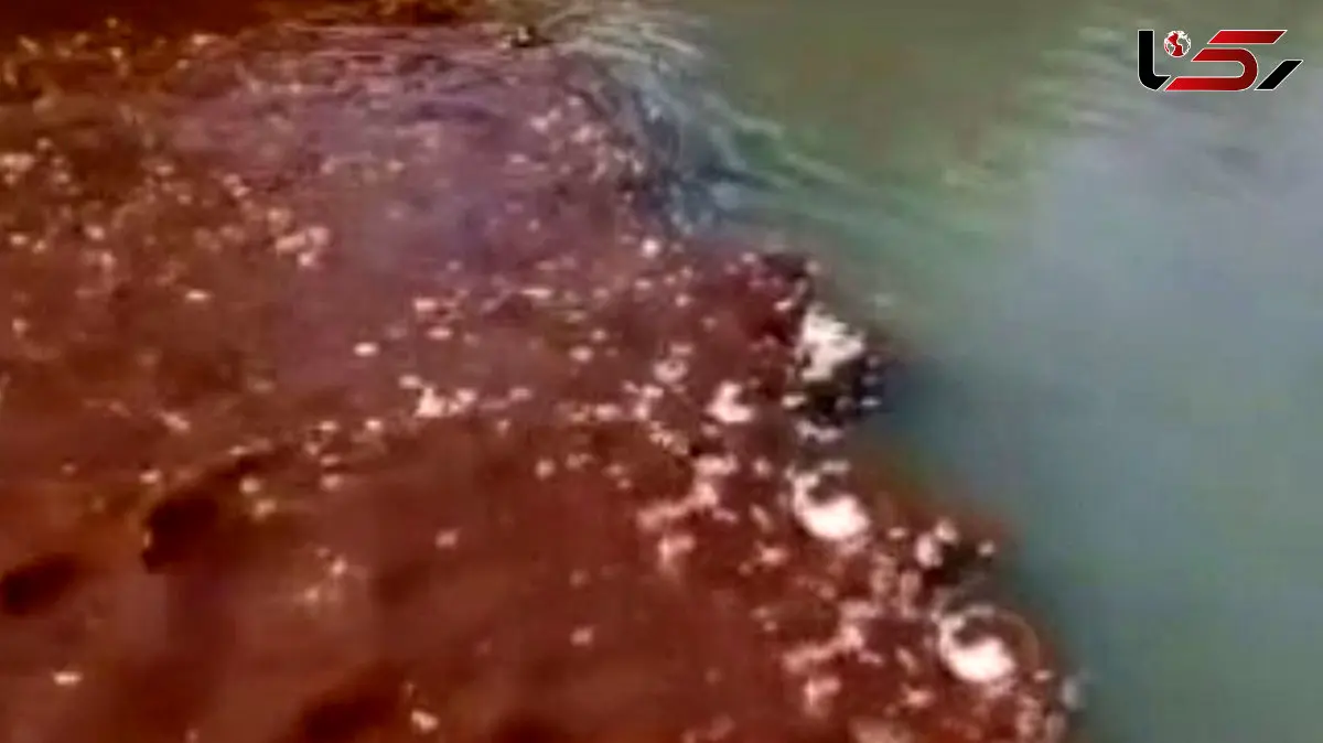 ورود مستقیم فاضلاب از چندین نقطه به رودخانه دز / این آب، منبع شرب مردم جنوب خوزستان و آبیاری صیفی جات دزفول است ! + فیلم