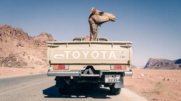 عکس روز نشنال جئوگرافیک؛ سواری شتر 