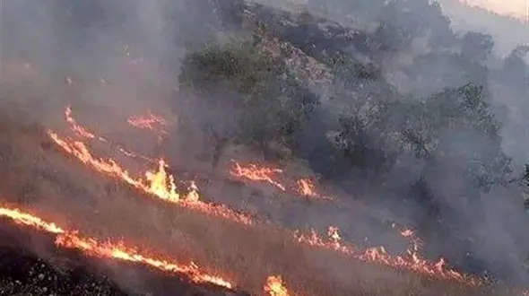 سهل انگاری مراتع خوش ییلاق را گرفتار حریق کرد