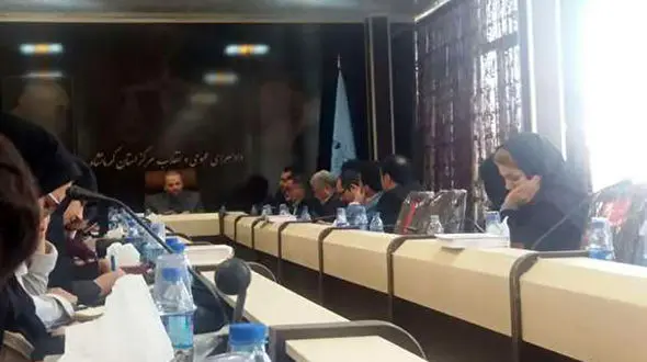 دستگیری صرافانی که ارز از کشور خارج می کردند/پیگیری پرونده گلیم و گبه 