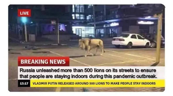 خبر اقدام ترسناک و عجیب پوتین برای ماندن مردم در خانه در پی شیوع کرونا تکذیب شد