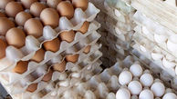 کارگاه زیرزمینی بسته بندی تخم مرغ خوراکی کشف شد