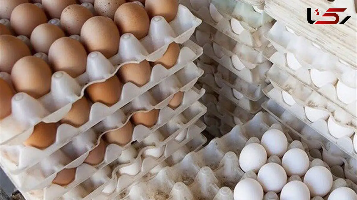 تفاوت فاحش قیمت تخم مرغ از مسئولین تا مردم