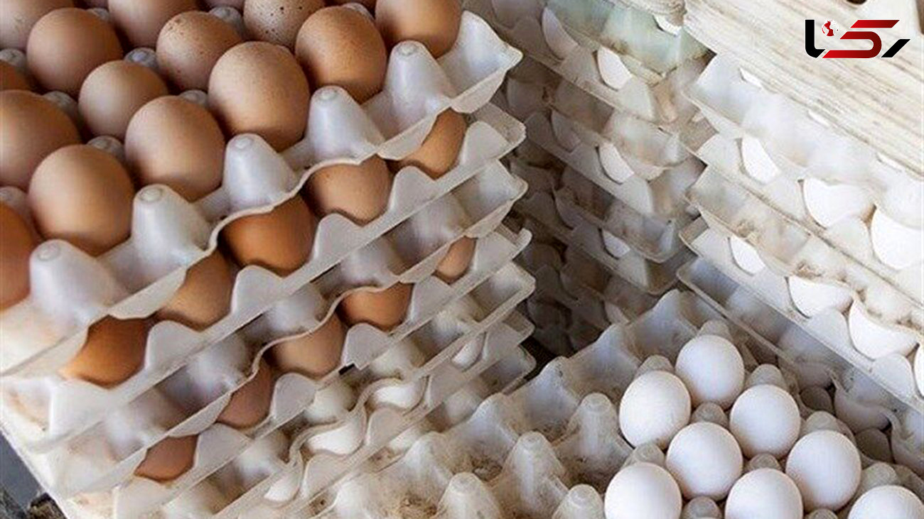 کارگاه زیرزمینی بسته بندی تخم مرغ خوراکی کشف شد