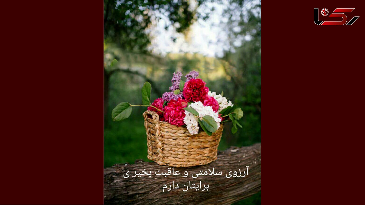 فال ابجد امروز / 24 دی ماه + فیلم 