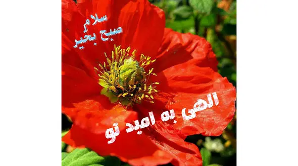 فال ابجد واقعی 18 فروردین + فیلم