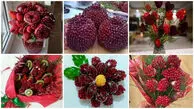 10 ایده خلاقانه برای تزئین انار در مدرسه؛ از پوست انار تا دانه‌ های یاقوتی