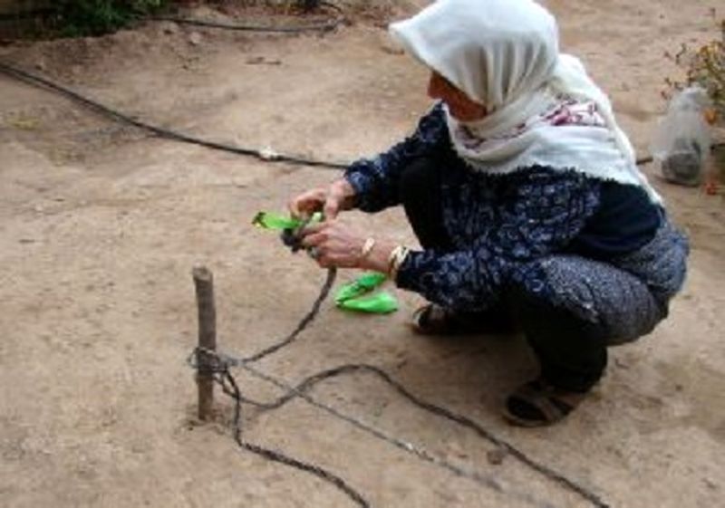 ثبت سه اثر ناملموس قزوین در فهرست میراث ملی