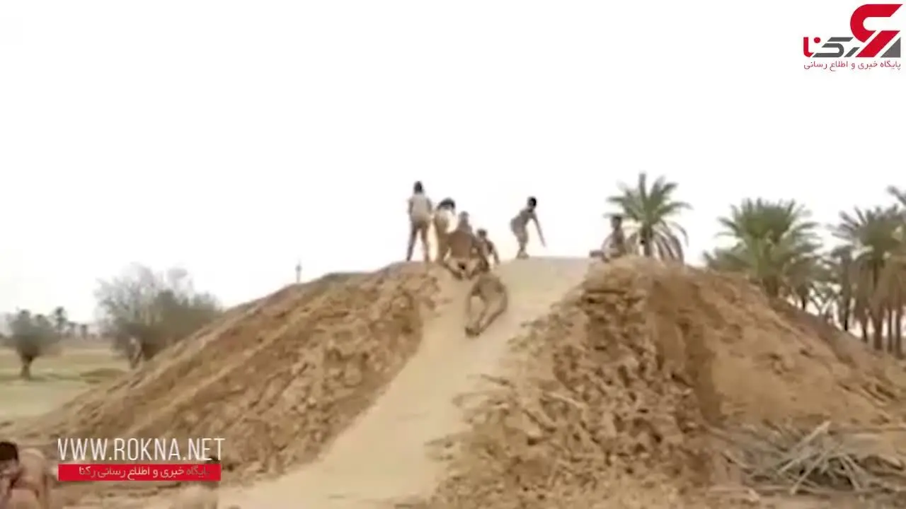 تفریح عجیب جوانان پس از بارش باران در بوشهر + فیلم
