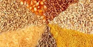 نرخ جدید دلار و تأثیر آن بر کالاهای اساسی