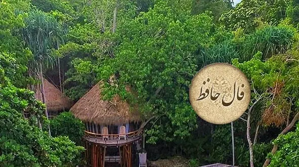 فال حافظ 28 دی + فیلم