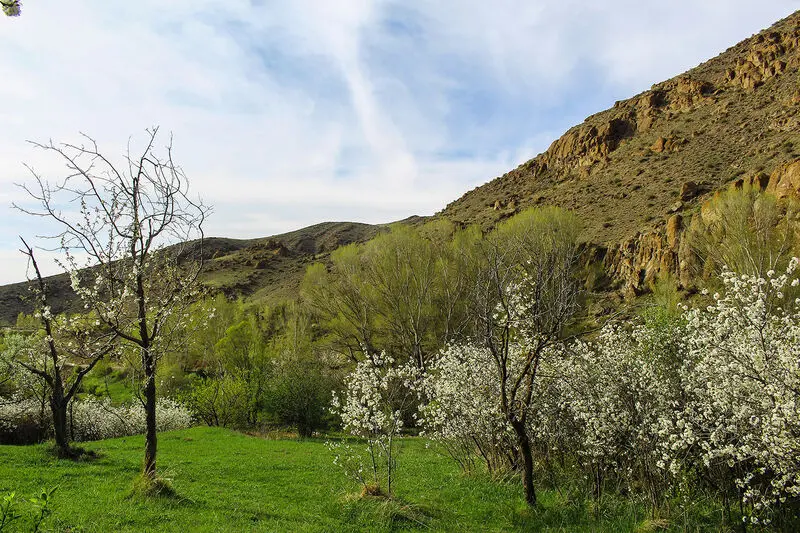 اردبیل