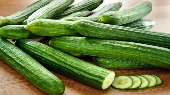 در شهریور ماه خیار نخورید 