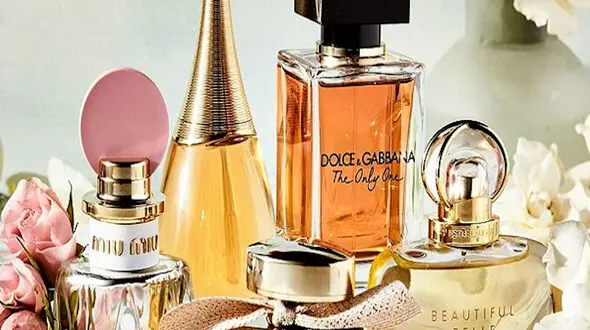 بهترین عطر های تابستانی و درخت دارچین
