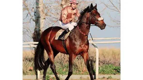 جان باختن چابکسوار گلستانی در کورس تابستانه بندرترکمن