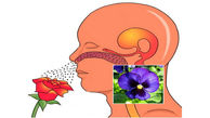 کرونایی ها چگونه حس بویایی خود را تقویت کنند؟ 