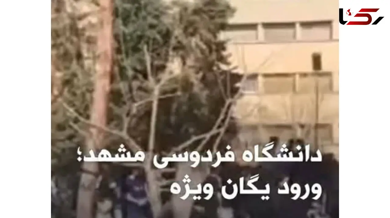 واکنش سخنگوی پلیس به خبر حضور یگان ویژه در دانشگاه ها