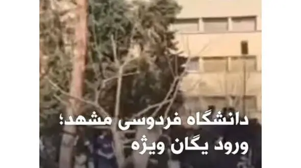 واکنش سخنگوی پلیس به خبر حضور یگان ویژه در دانشگاه ها