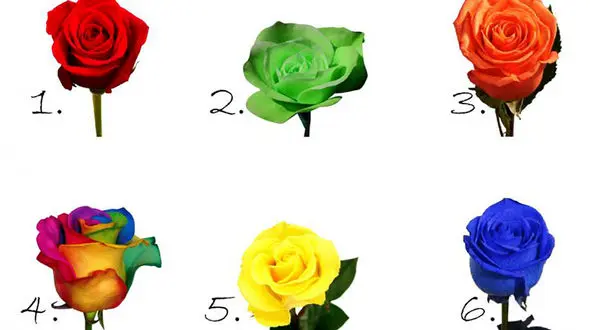 تست : گلی که انتخاب می‌کنید، رازتان را فاش می کند ! / شخصیت شناسی
