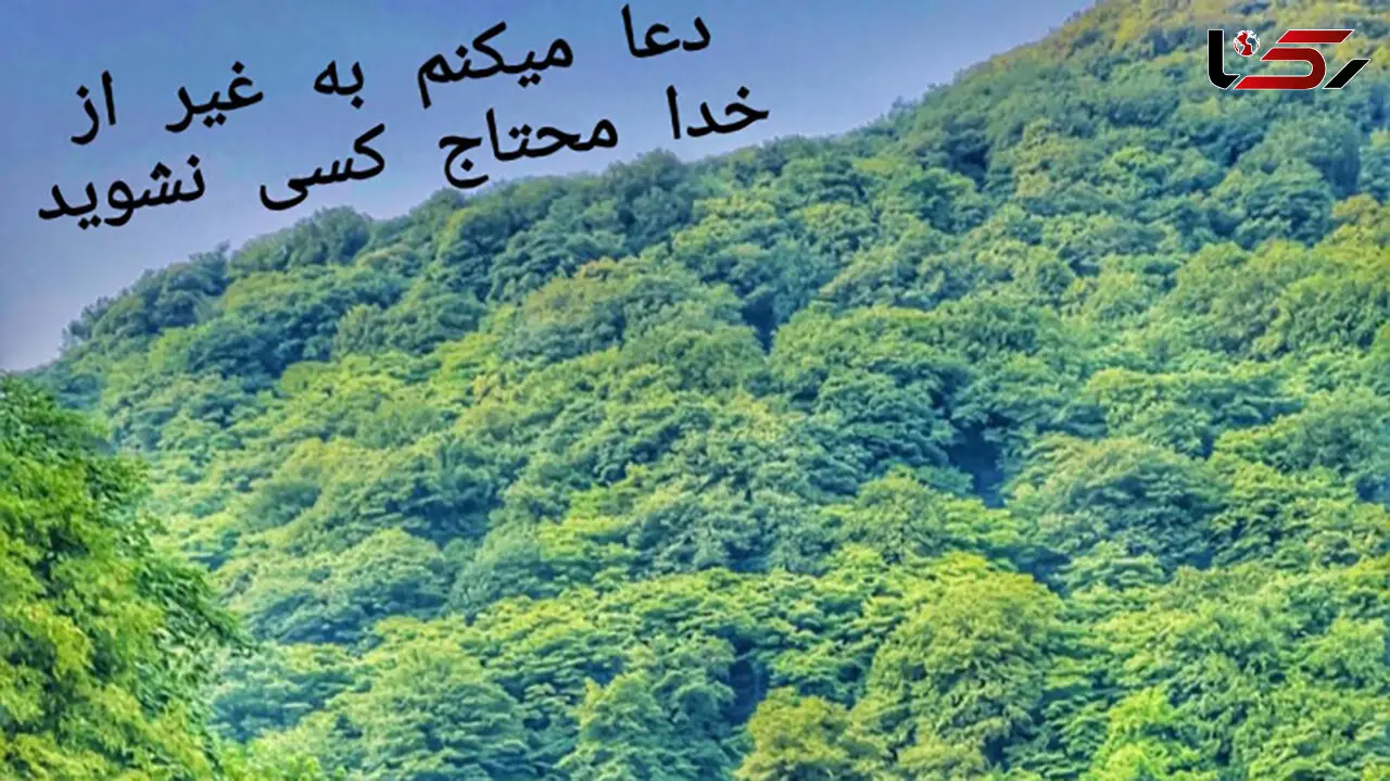 فال روزانه شخصی / 3تیر ماه + فیلم