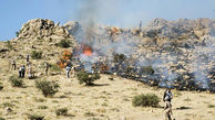 ارتفاعات باغ فردوس  گچساران دچار حریق شد/تلاش برای مهار آتش سوزی