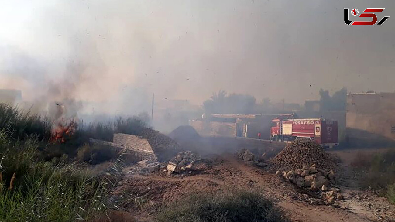 آتش‌سوزی در نخلستان روستای صیدوایه آبادان 