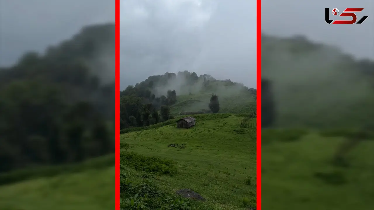 فیلم مناظر مه آلود و بارانی در اولسبلانگاه