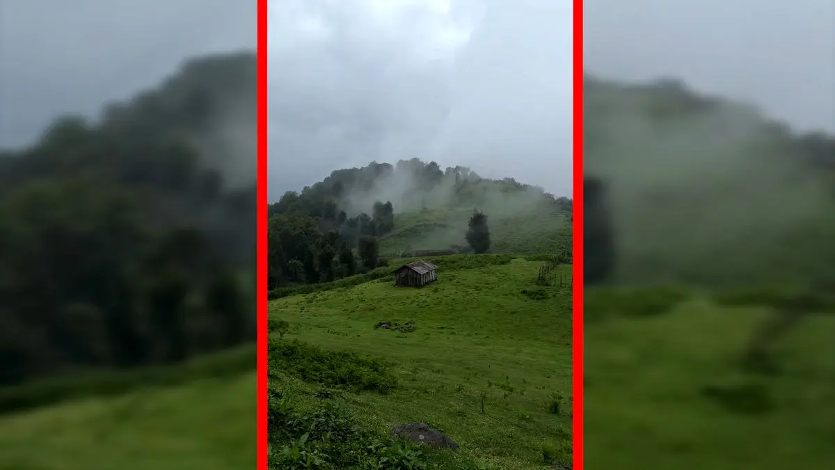 فیلم مناظر مه آلود و بارانی در اولسبلانگاه