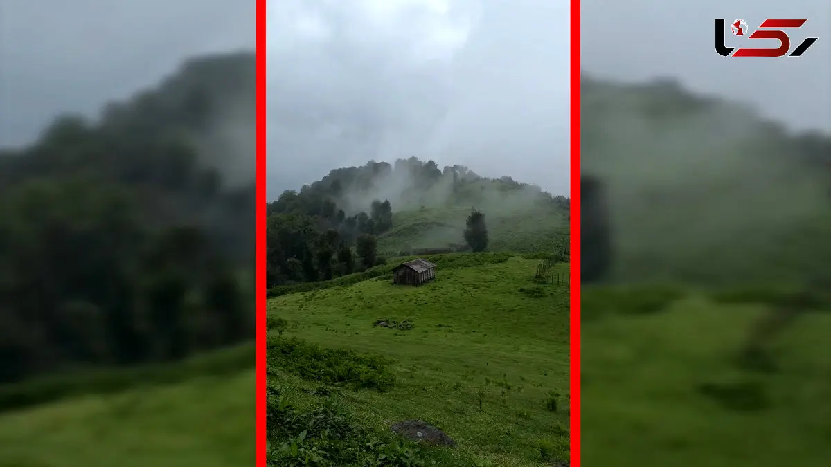 فیلم مناظر مه آلود و بارانی در اولسبلانگاه