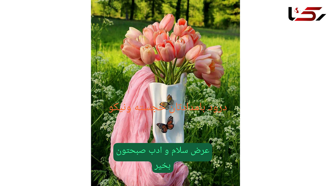فال ابجد اصلی 14 مهر 1402 / فیلم