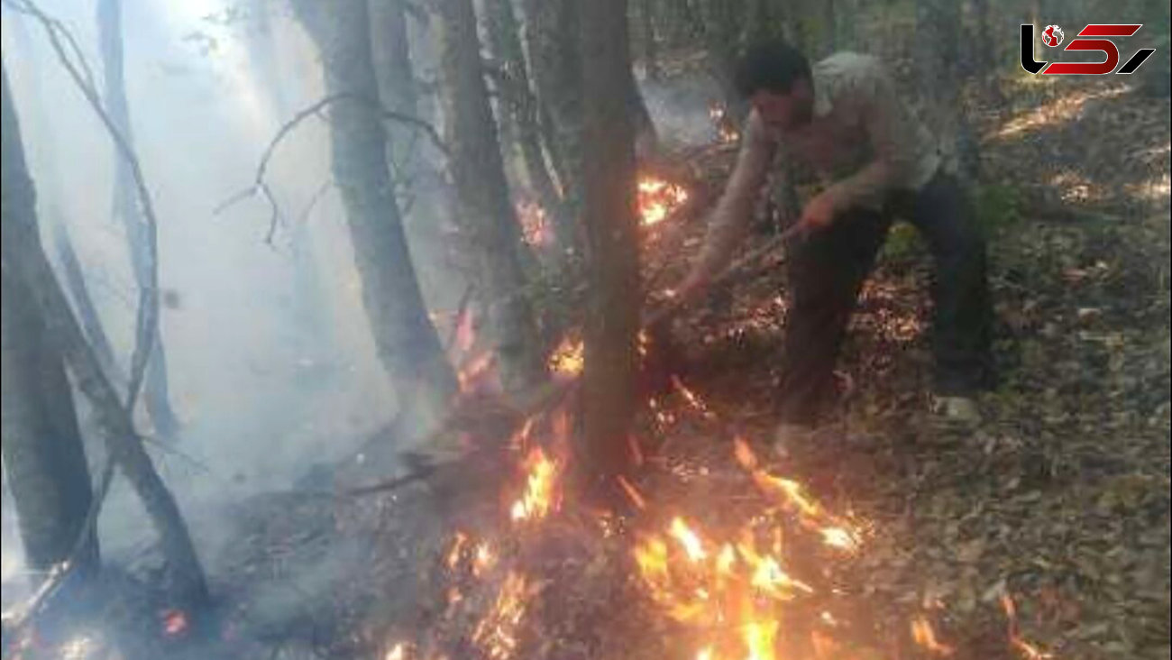 عملیات ویژه ۱۰۰ نیرو در منطقه جنگلی لایی و برما نکا / آتش سوزی هولناک در جنگل ها