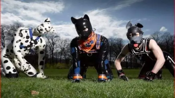 فیلم انسان هایی که سگ شدند ! / عقل از سرتان می پرد !