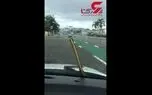 زن وحشت‌زده با دیدن ماری که روی شیشه خودش را در ماشین زندانی کرد+ فیلم