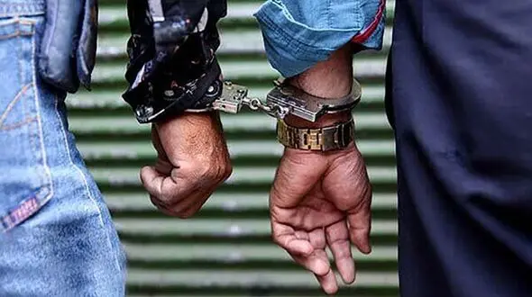  اسماعیل و ابراهیم در خانه شان دستگیر شدند / آنها موبایل قاپ حرفه ای تهران بودند