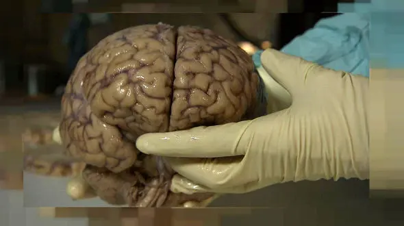 این کارها شما را باهوش می کند