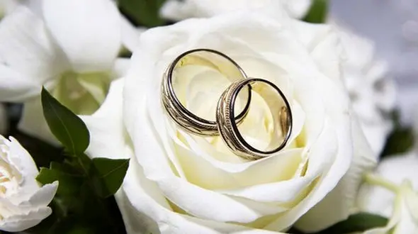  33 مکان برای یافتن همسر / قانونی و با مجوز!