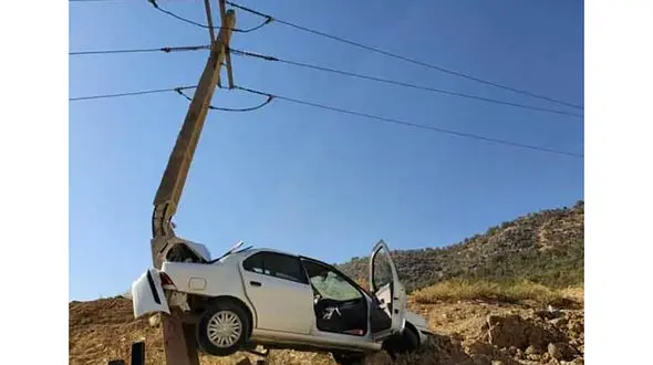 عکس عجیب از سمندی که برق 2500 خانواده را در یاسوج قطع کرد