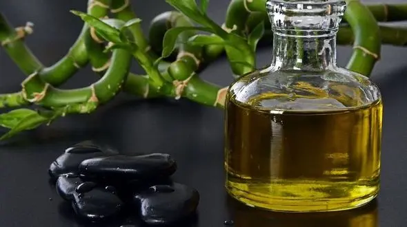 زیبایی پوست و مو با روغن شگفت انگیز جوجوبا