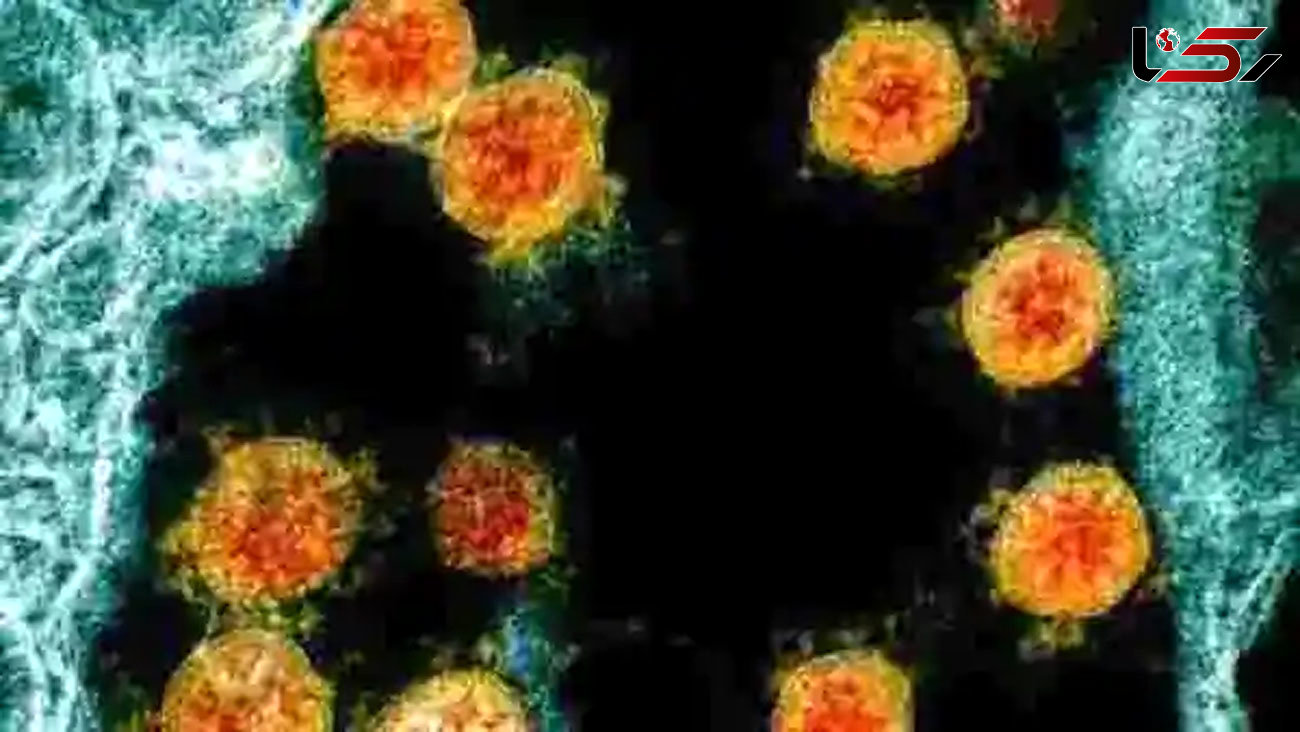  Study Finds Specific Proteins Can Inhibit Coronavirus That Causes COVID-19 