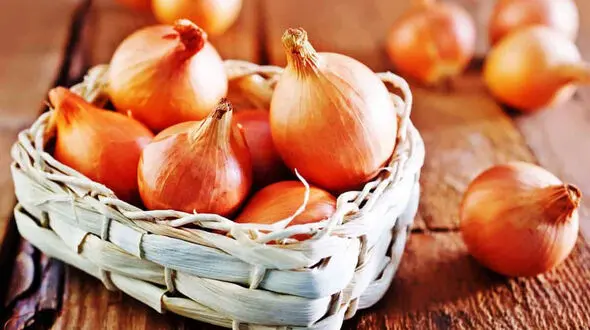 پیاز خام بخوریم یا پیاز پخته؟