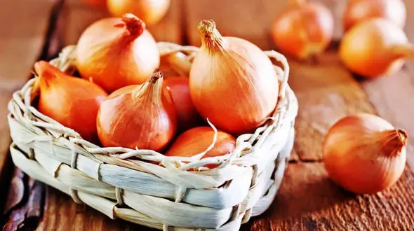 پیاز خام بخوریم یا پیاز پخته؟