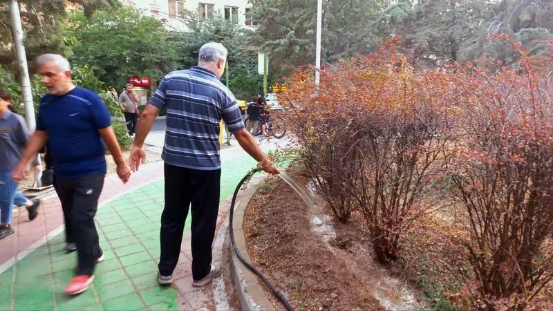 آبیاری توسط مردم محل با وسایل ابتدایی خود - وضعیت اسفبار پارک 26800 متری بهاران در باغ فیض منطقه 5  شهرداری تهران
