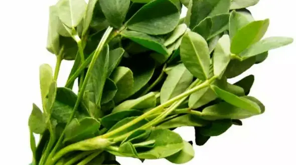 خواص و مضرات شنبلیله