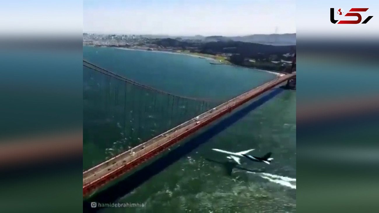 عبور خارق العاده هواپیمای مسافربری از زیر پل سانفرانسیسکو + فیلم
