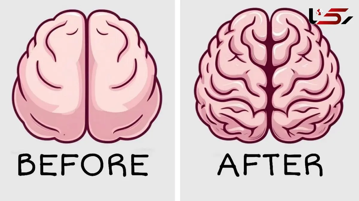 چطور با 7 ورزش ساده مغزتان را مثل جت تقویت کنید؟