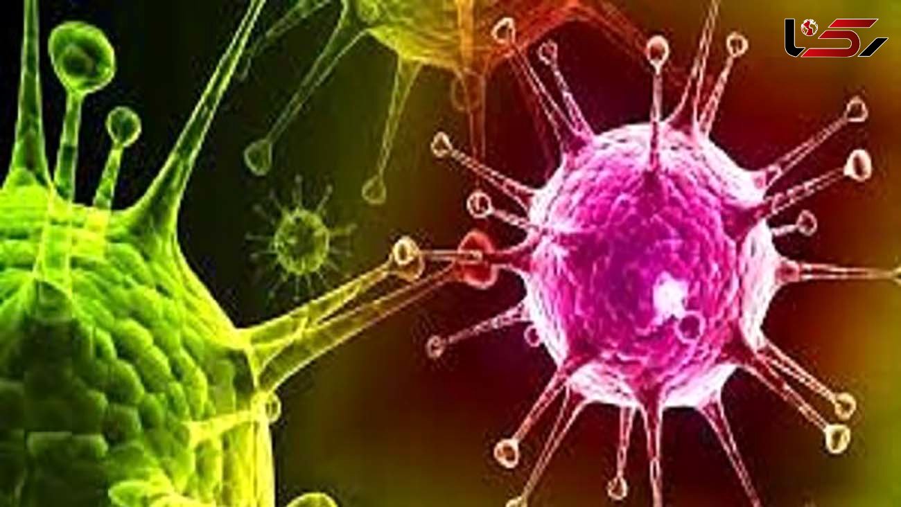 کشف روش از بین بردن ویروس کرونا طی 25 ثانیه