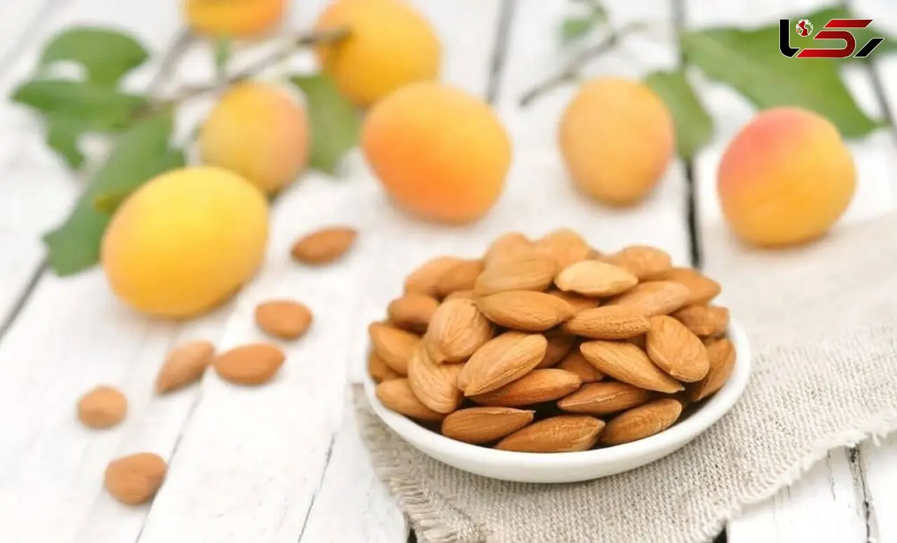 خواص دارویی هسته زرد آلو